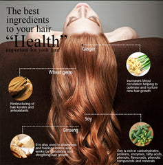 Herbal Ginger Hair Regrowth Shampoo - Advanced Treatment for Healthy Hair Growth & Preventing Hair Loss - Farefe