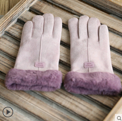 Gloves Female Autumn and Winter Warm Velvet Touch Screen Suede Gloves - Farefe