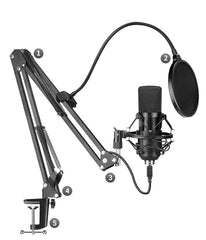 BM-700 Condenser Microphone Set with Stand - Black, Metal Material, 24-bit 192KHz Sampling Accuracy - Farefe