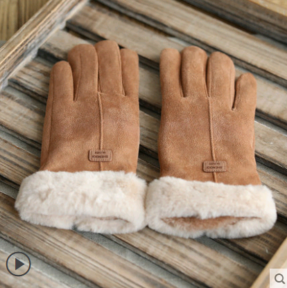 Gloves Female Autumn and Winter Warm Velvet Touch Screen Suede Gloves - Farefe