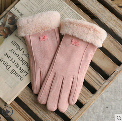 Gloves Female Autumn and Winter Warm Velvet Touch Screen Suede Gloves - Farefe