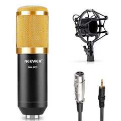 NW 800 Condenser Microphone with Shock Mount and Power Cable
