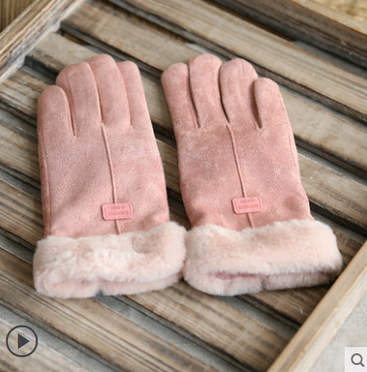 Gloves Female Autumn and Winter Warm Velvet Touch Screen Suede Gloves - Farefe