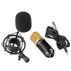 NW 800 Condenser Microphone with Shock Mount and Power Cable