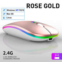 LED Wireless Mouse USB Rechargeable RGB Silent Ergonomic Backlight for Laptop PC iPad - Farefe