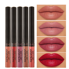 Velvet Matte Matte Texture Lip Gloss - Long-Lasting Lip Color